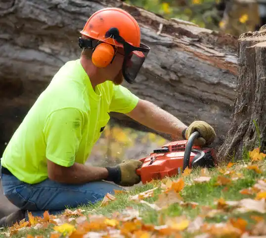 tree services Nellis AFB